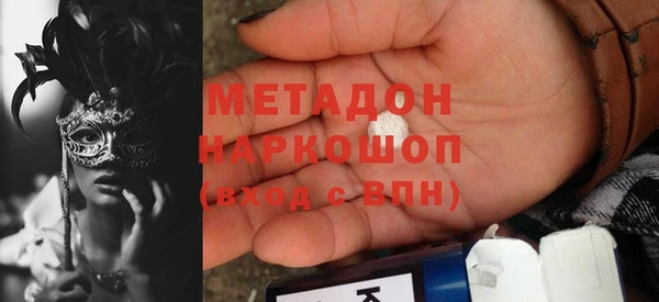 прущие грибы Богданович