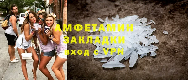 прущие грибы Богданович