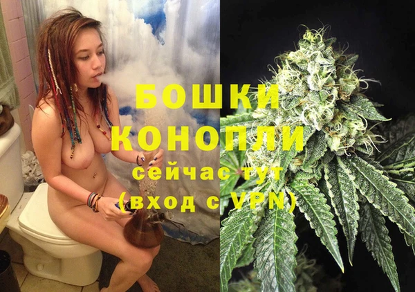 гашик Богородск
