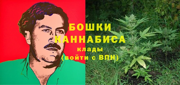 mdma Богородицк