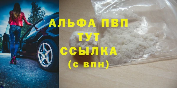 прущие грибы Богданович