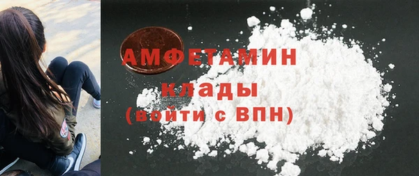 прущие грибы Богданович