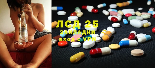 прущие грибы Богданович